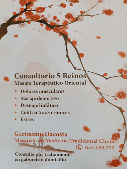 Consultorio 5 Reinos - Masajes MTC