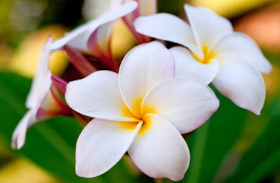 Daimiel Thai