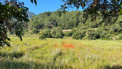 Fincasita Can Caqui, Shiatsu Massatge, Agroecologia, Ecolodge a Sóller, Mallorca