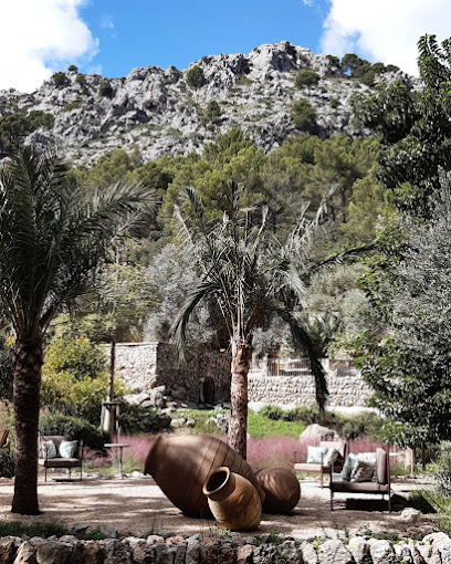 Mobile Massage Mallorca