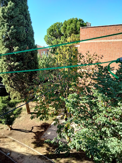 Quiro_azuqueca