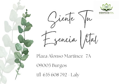 Siente Tu Esencia Vital